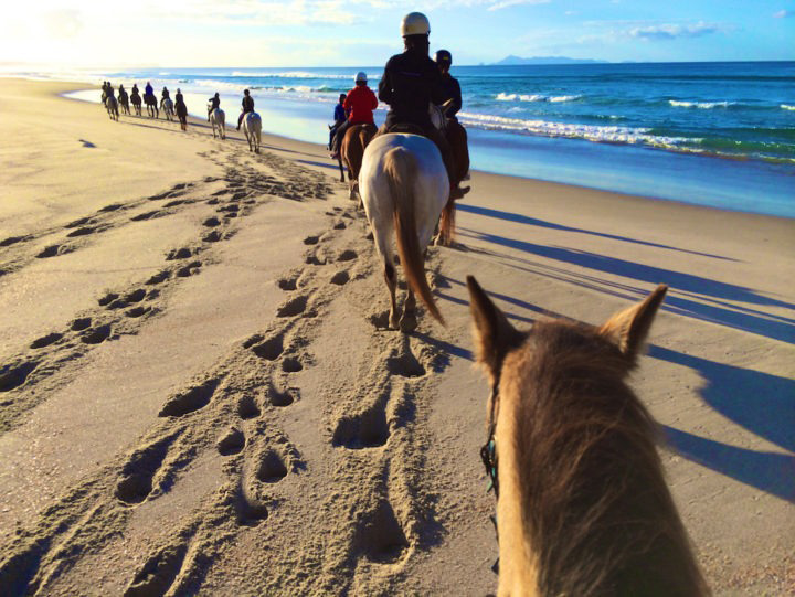 cavalgada na praia